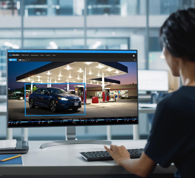 A woman sitting at a desk, using a computer to view an image of a car parked next to a bank of gas pumps.