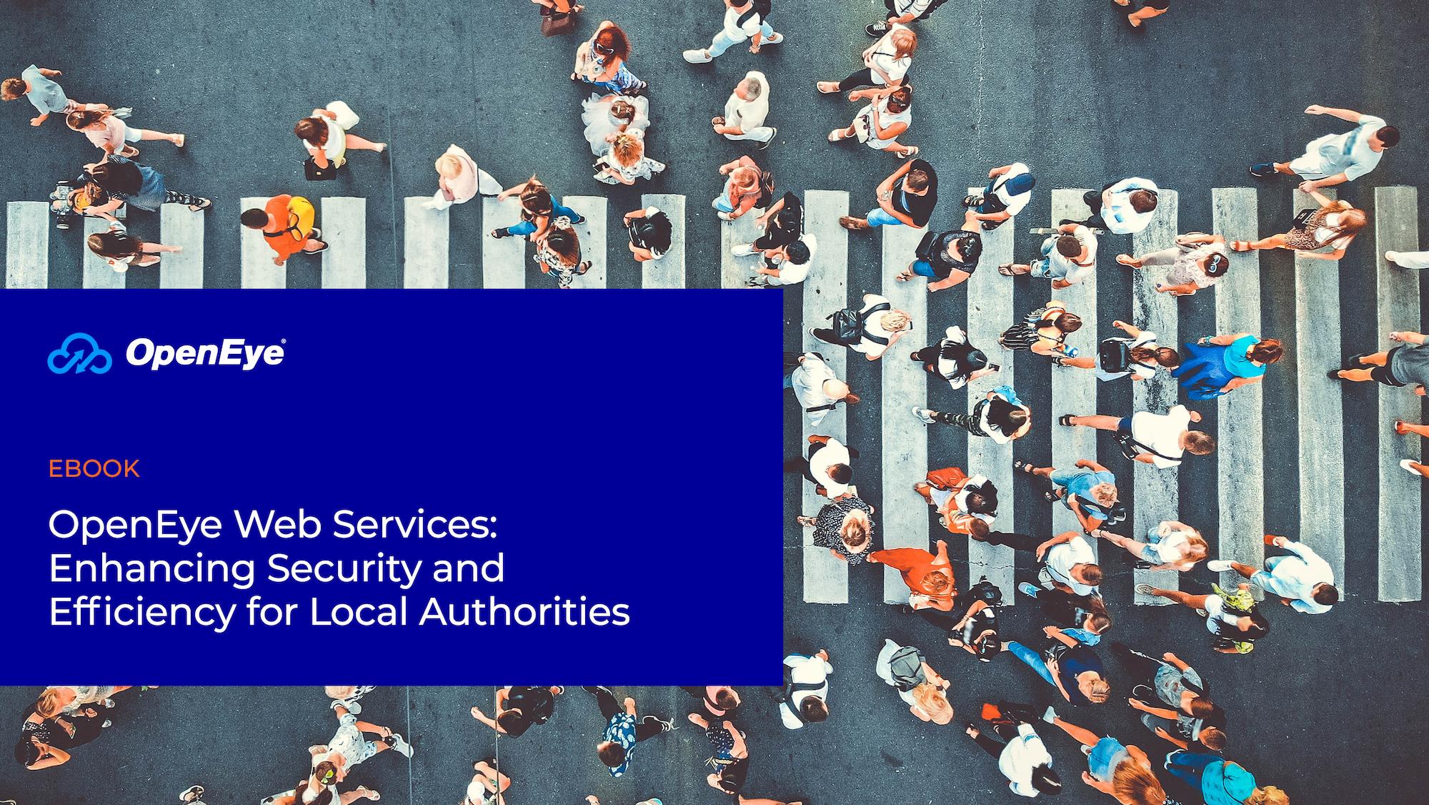 Thumbnail of the OpenEye Web Services for Local Authorities eBook